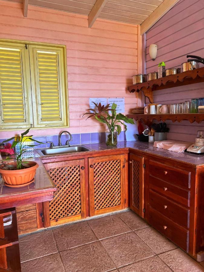Villa Caribbean Dream Vieux Fort Buitenkant foto