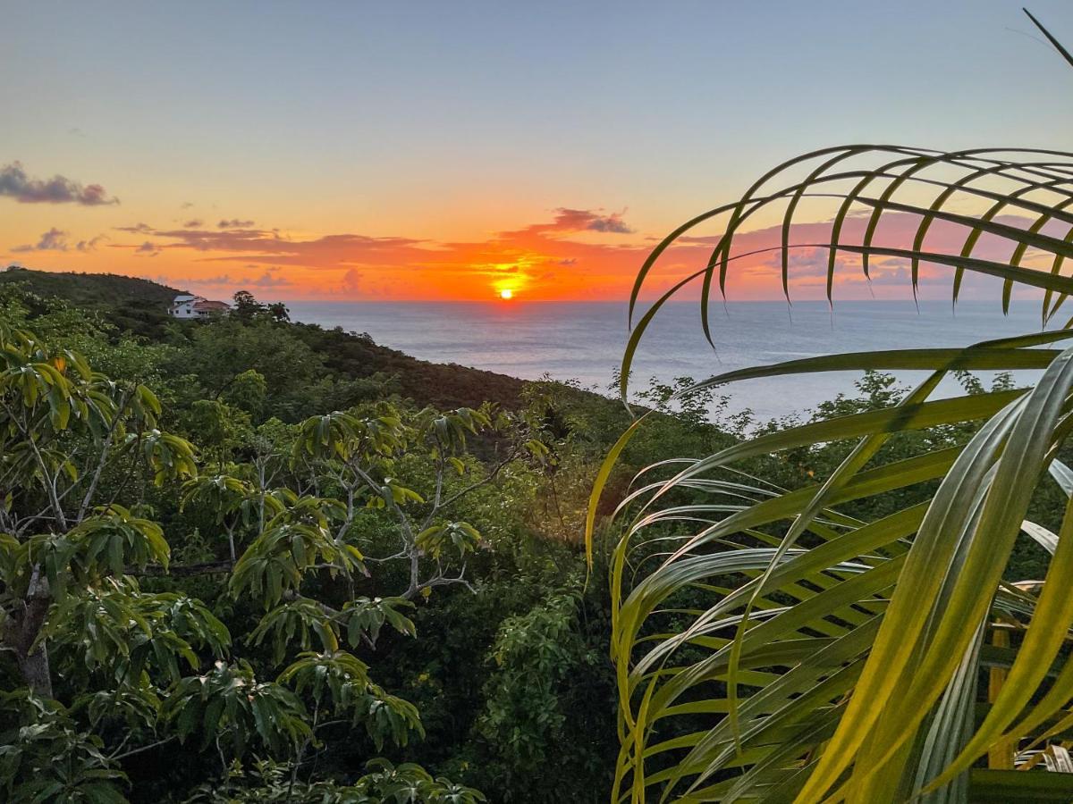 Villa Caribbean Dream Vieux Fort Buitenkant foto