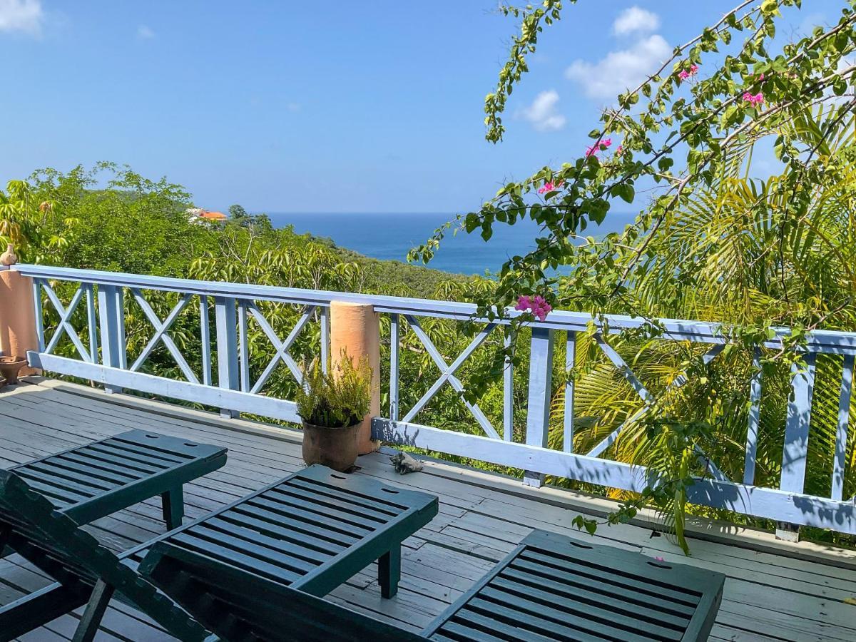 Villa Caribbean Dream Vieux Fort Buitenkant foto