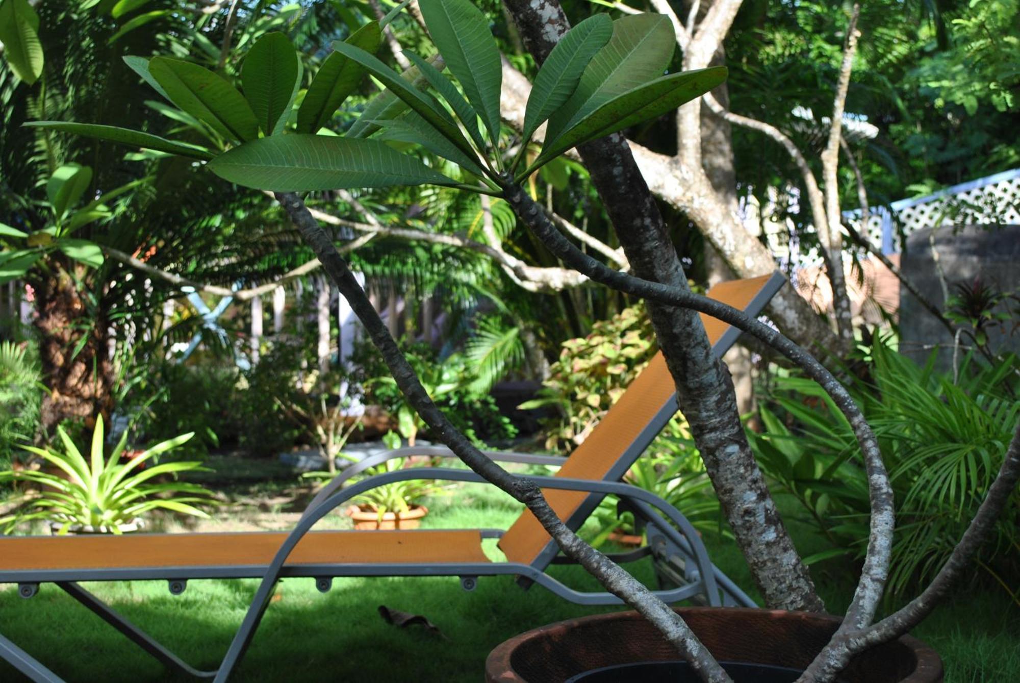 Villa Caribbean Dream Vieux Fort Buitenkant foto