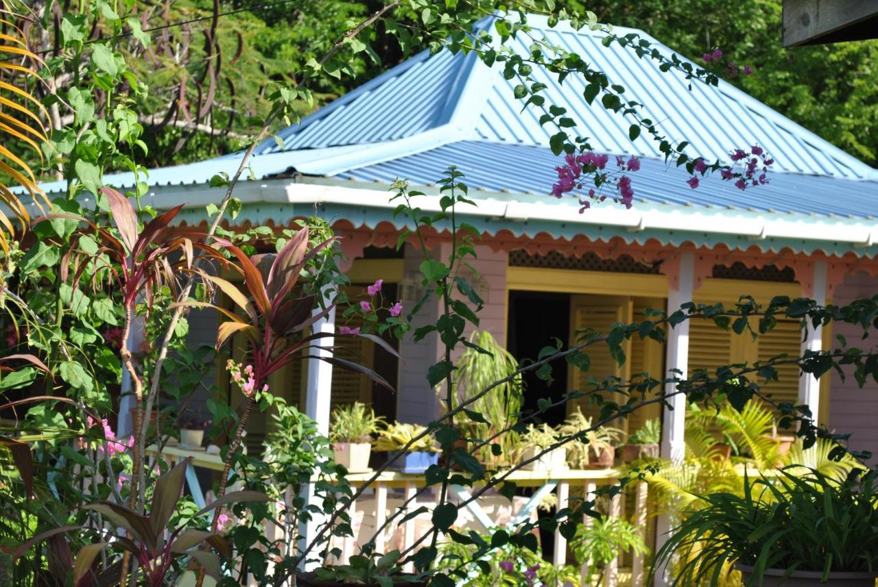 Villa Caribbean Dream Vieux Fort Buitenkant foto